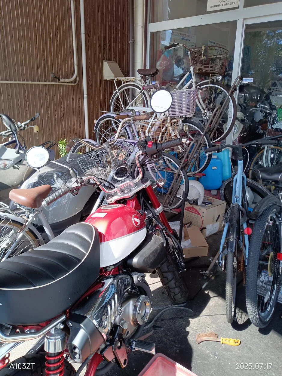 IMG_20230717_091834.webp