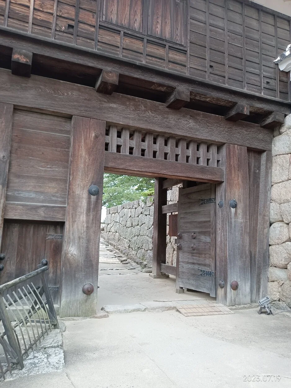 IMG_20230719_131335.webp