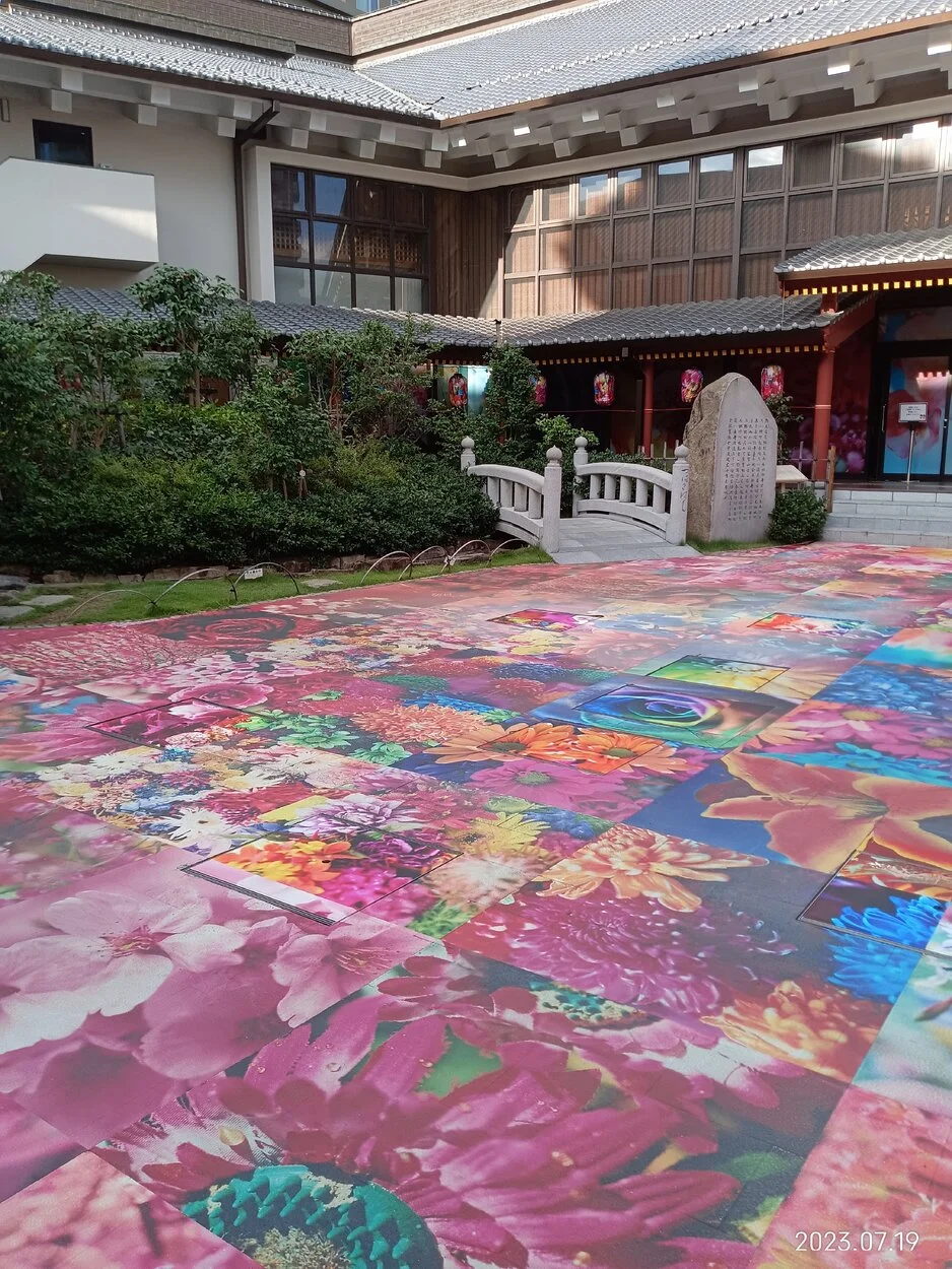 IMG_20230719_173858.webp