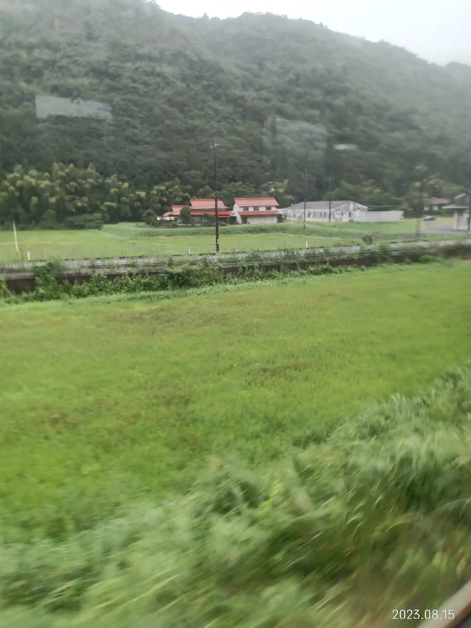 IMG_20230815_161051.webp