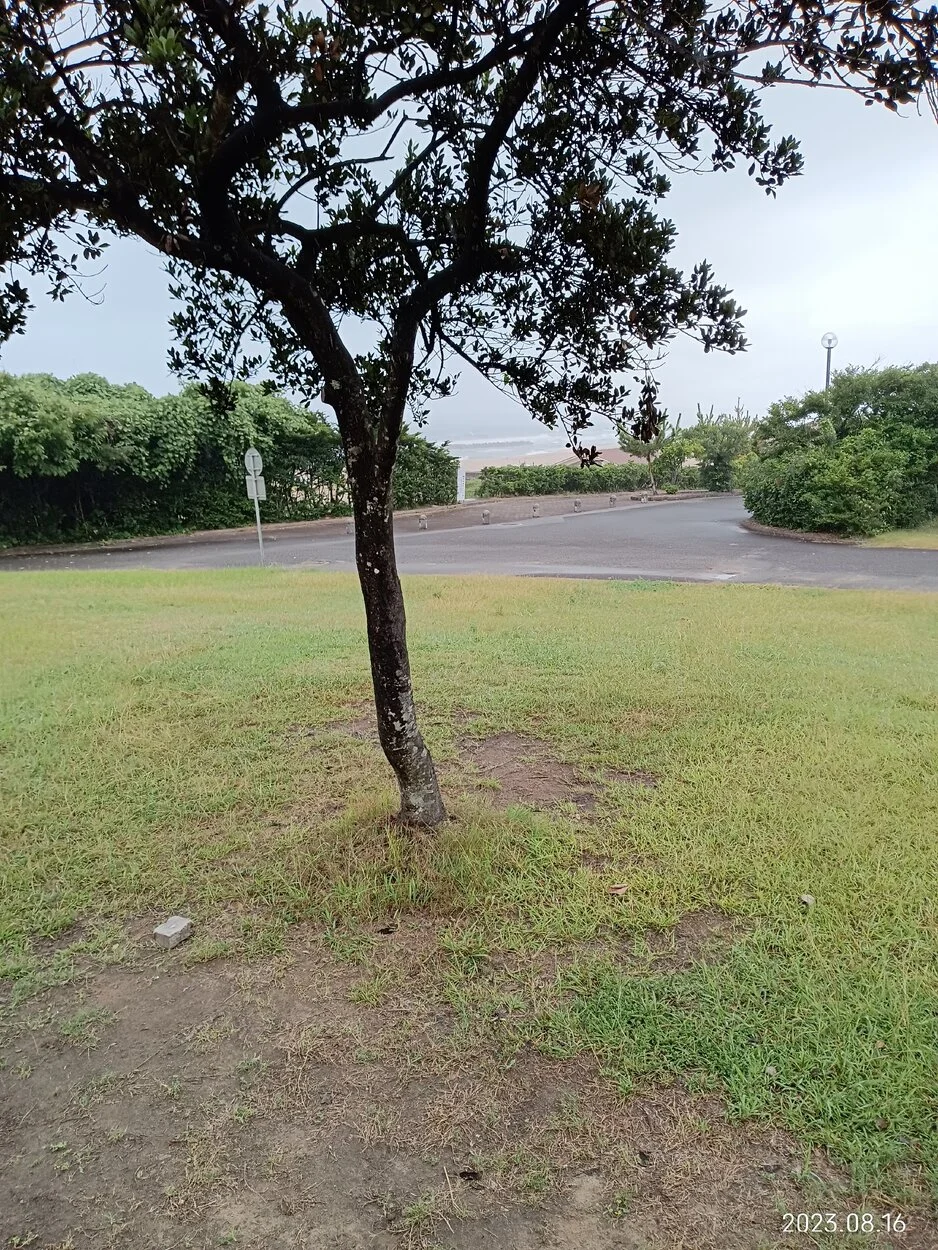 IMG_20230816_093827.webp