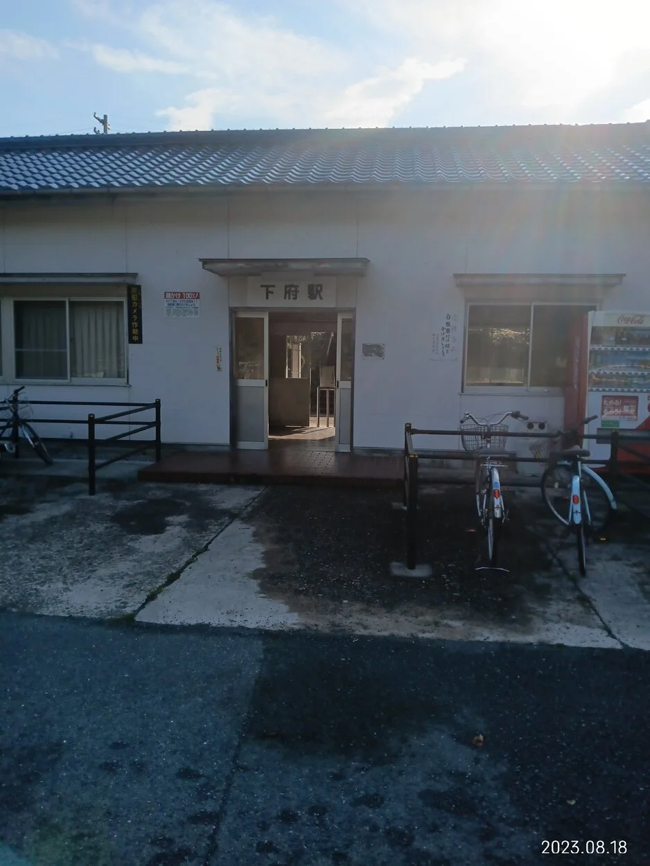 IMG_20230818_074026.webp