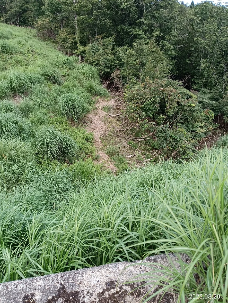 IMG_20230820_091130.webp