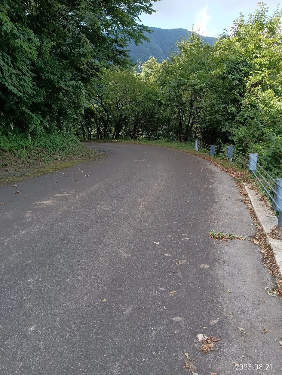 IMG_20230821_095926.webp