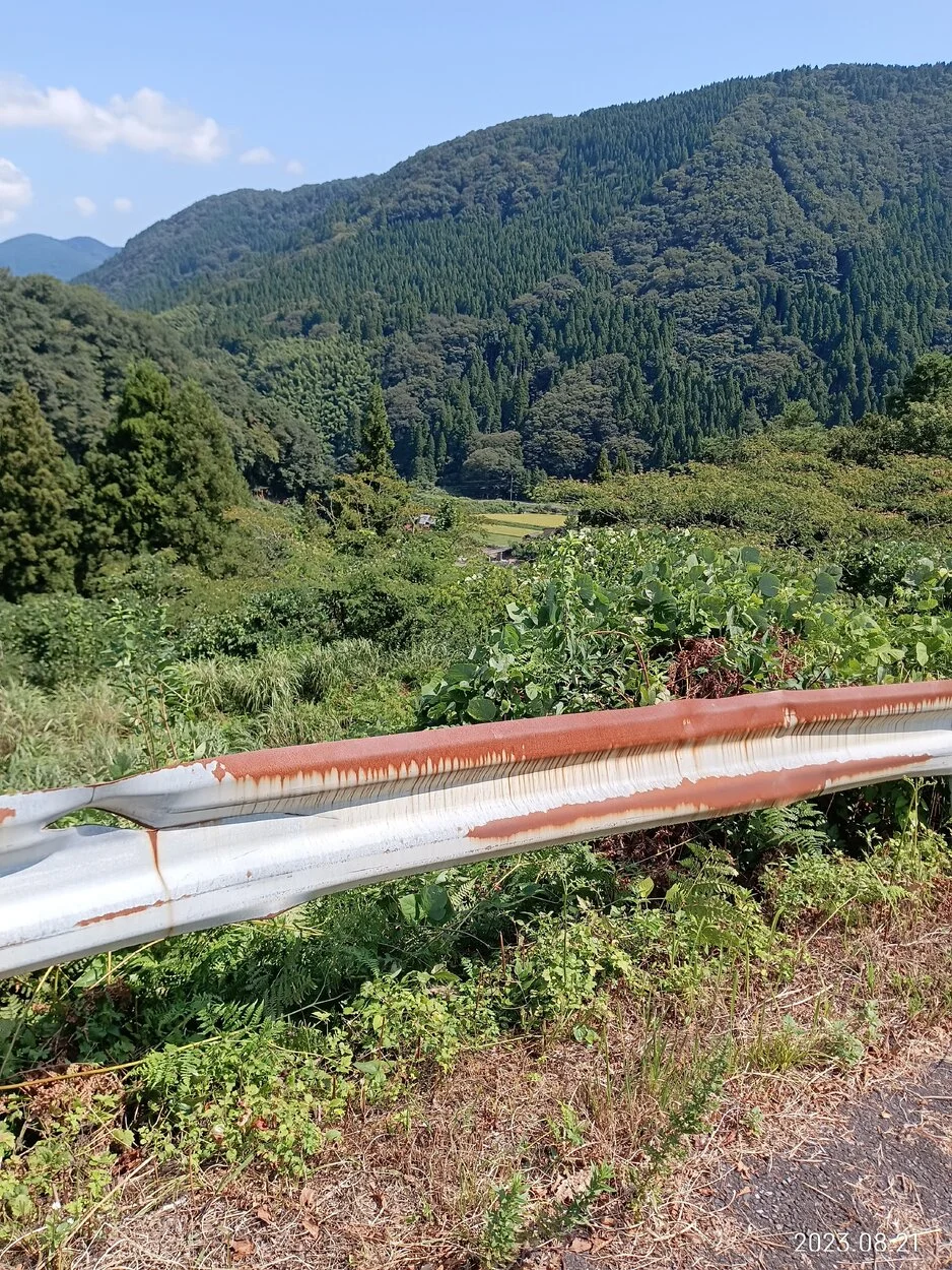 IMG_20230821_101133.webp