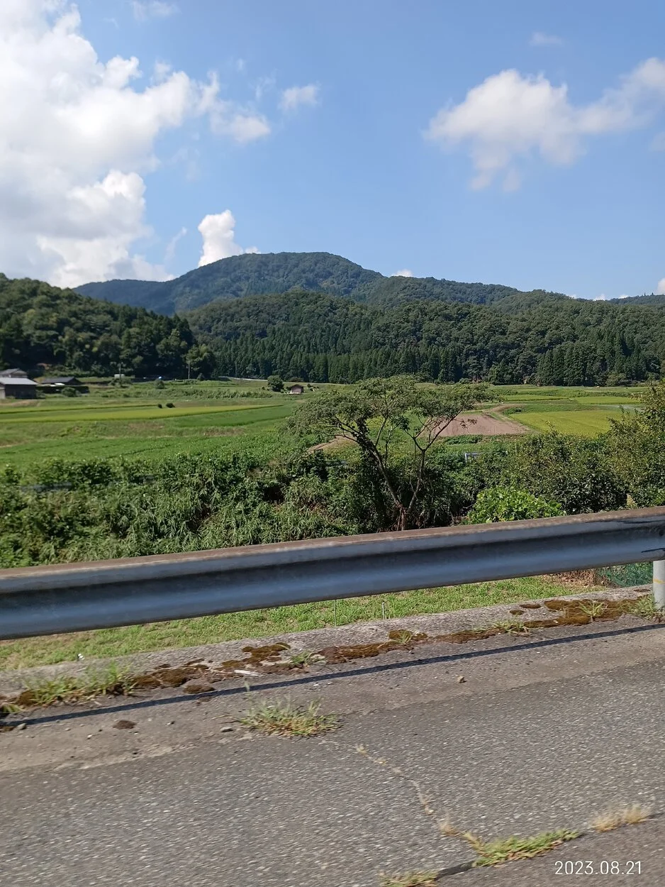 IMG_20230821_102215.webp