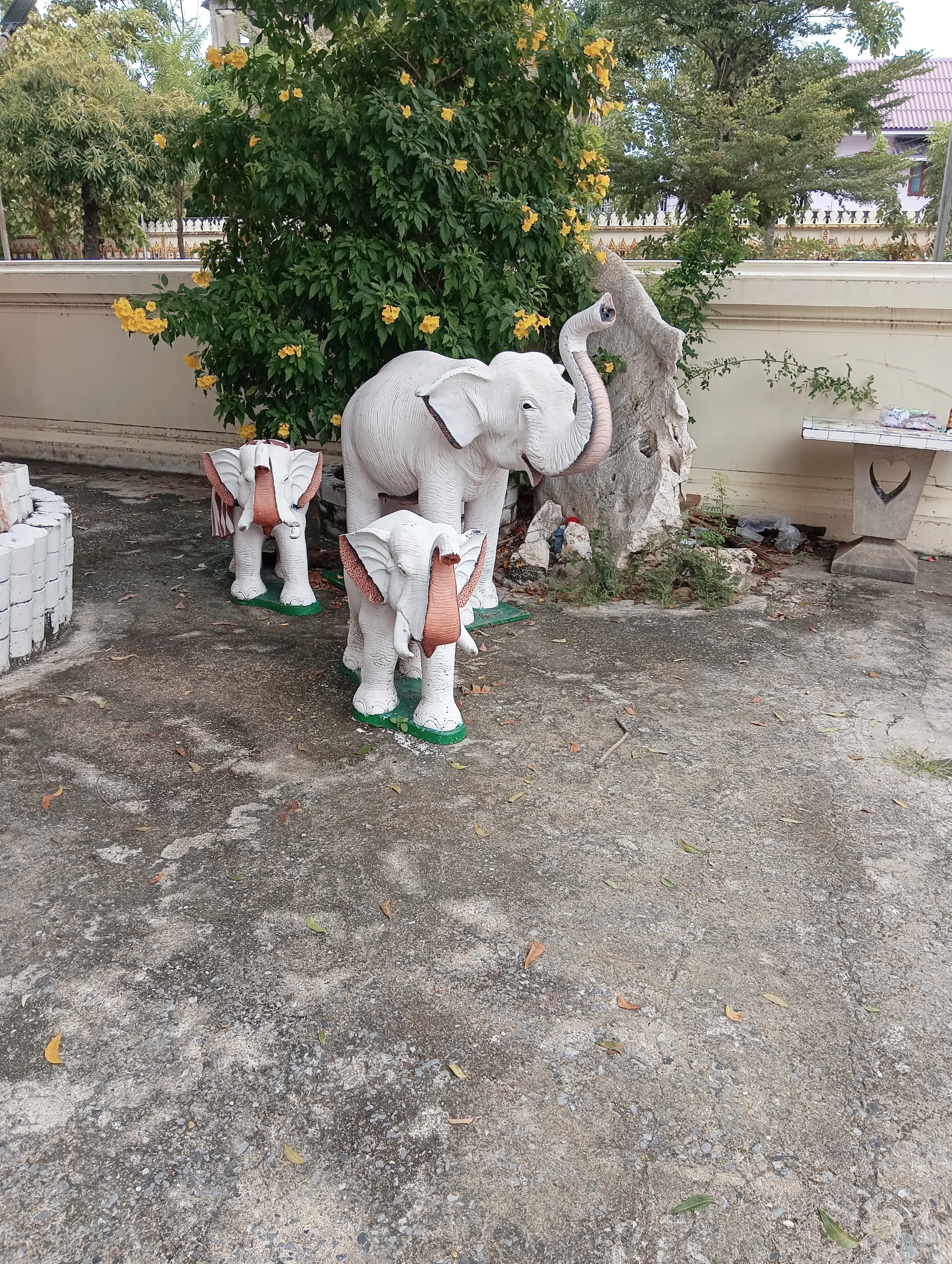 IMG_20241029_121904.webp
