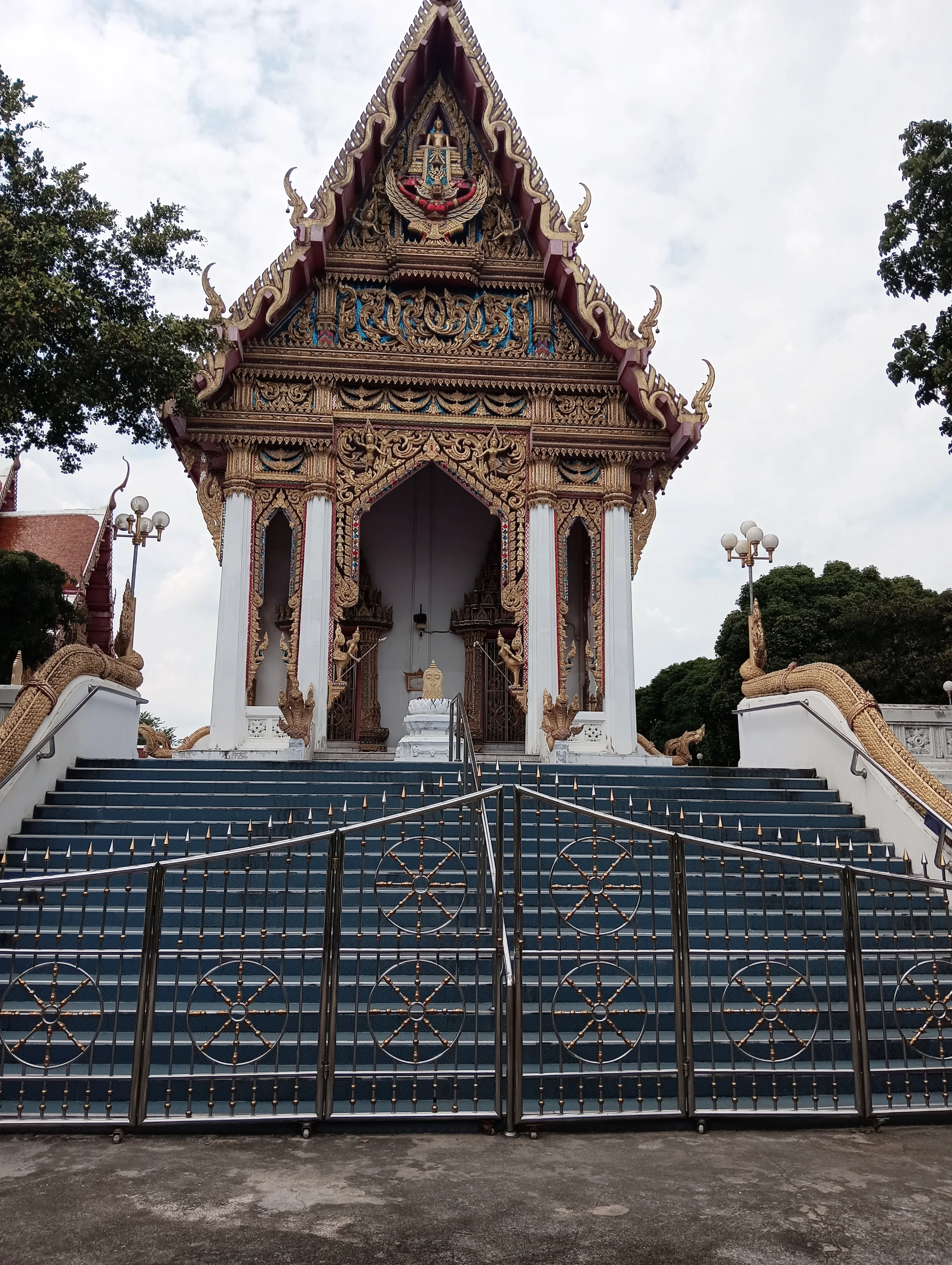 IMG_20241029_122020.webp