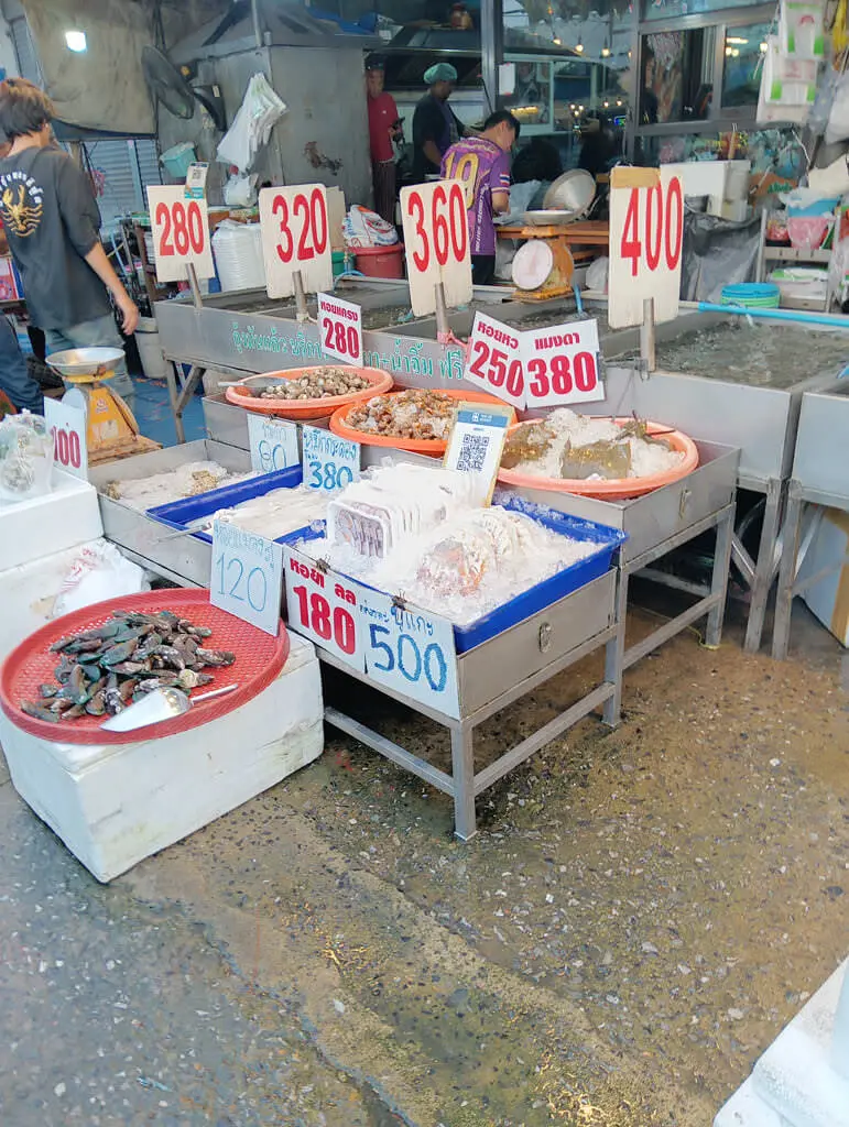 IMG_20241210_173615.webp