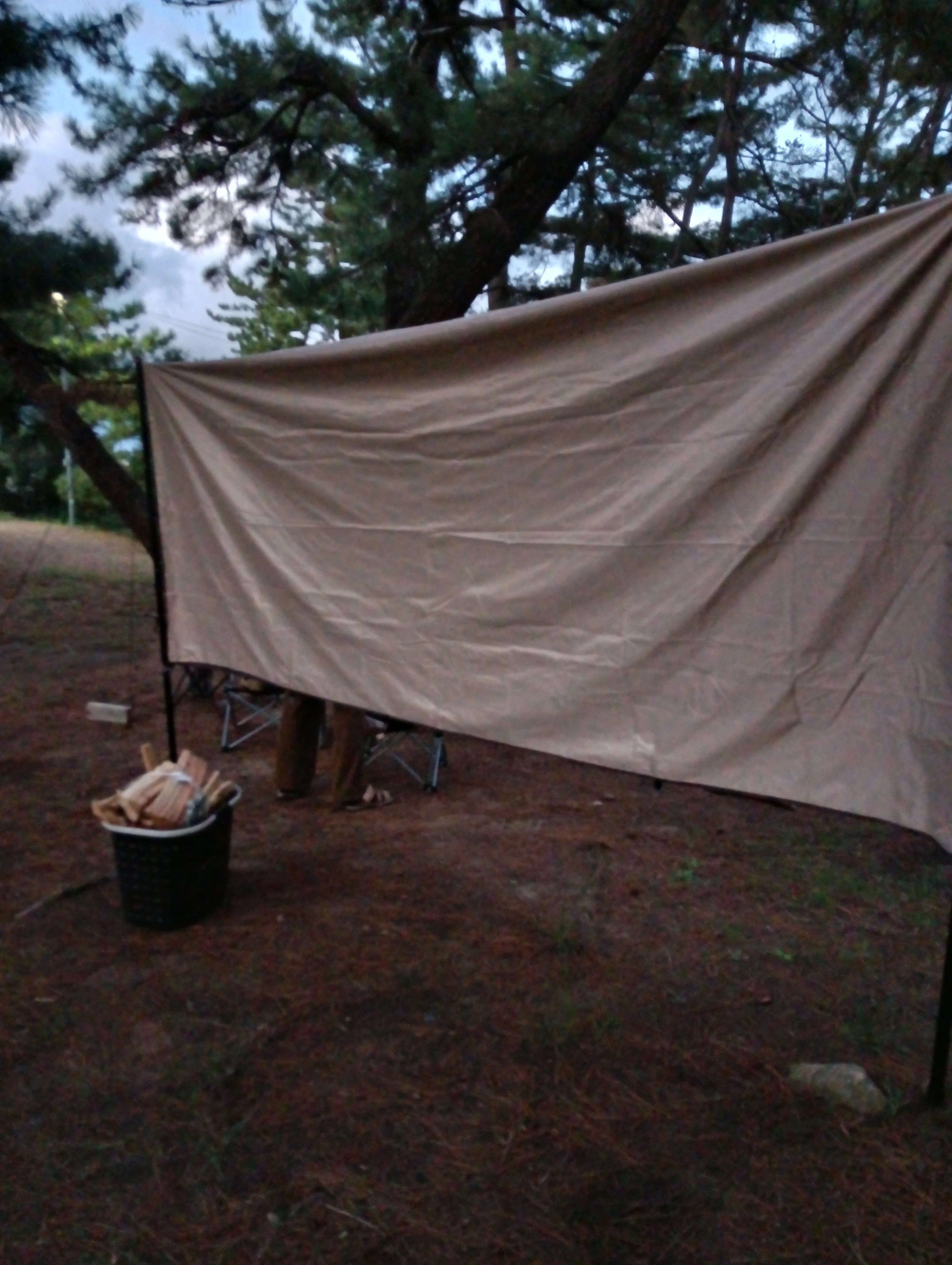 IMG_20250929_180539.webp