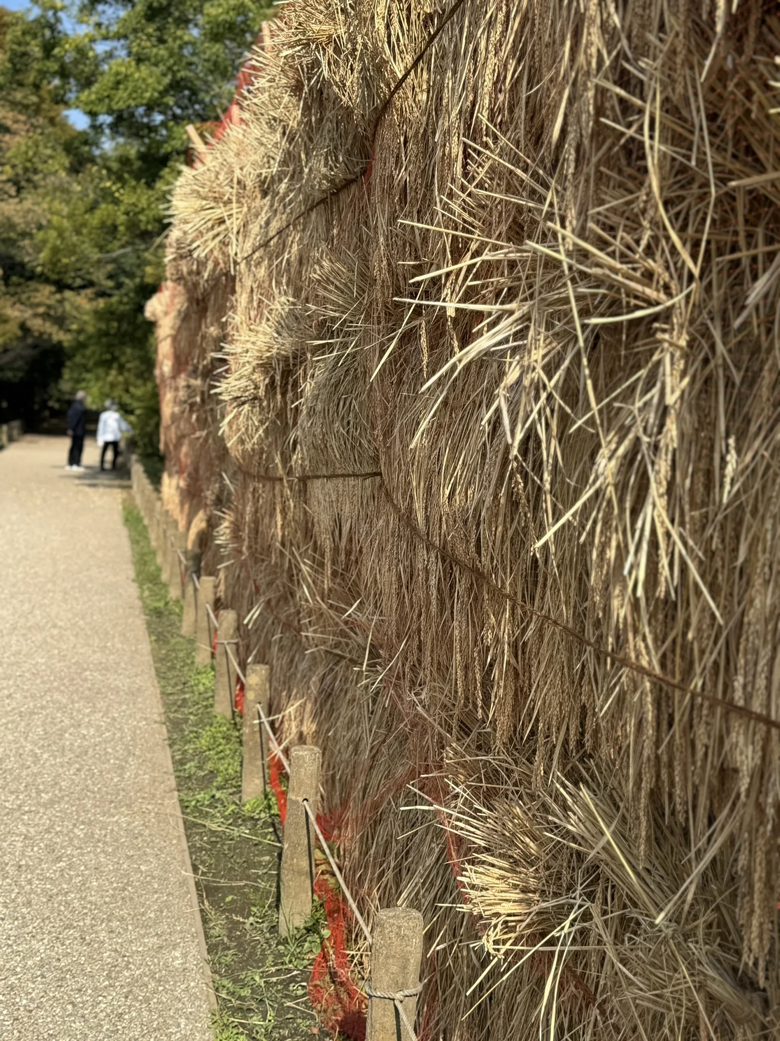 IMG_8064.JPEG