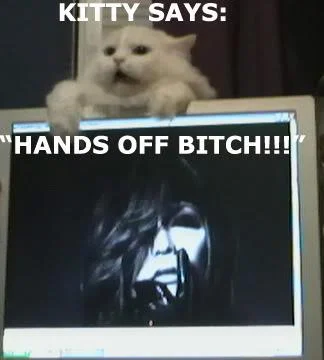 IMGA0437-1.webp