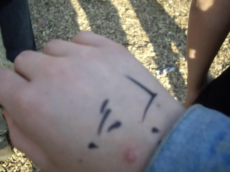 IMGP1255-1.webp