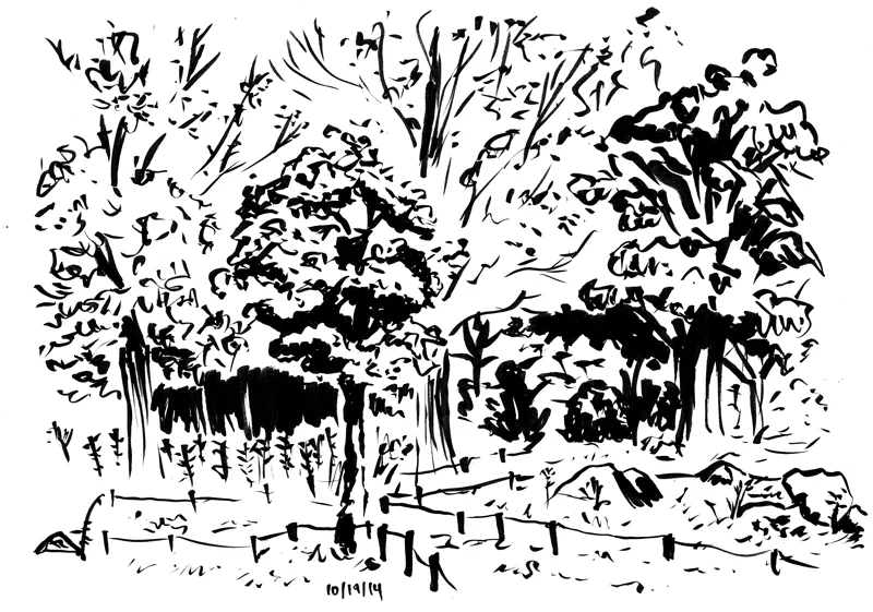 inktober_day_nineteen_by_naha_def-d83q6ok.webp