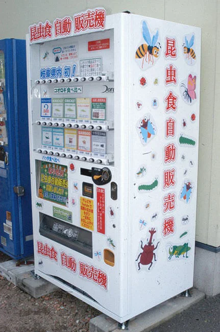 insect-vending-machine.webp
