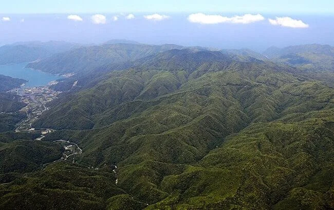 Iriomote Island (西表島)