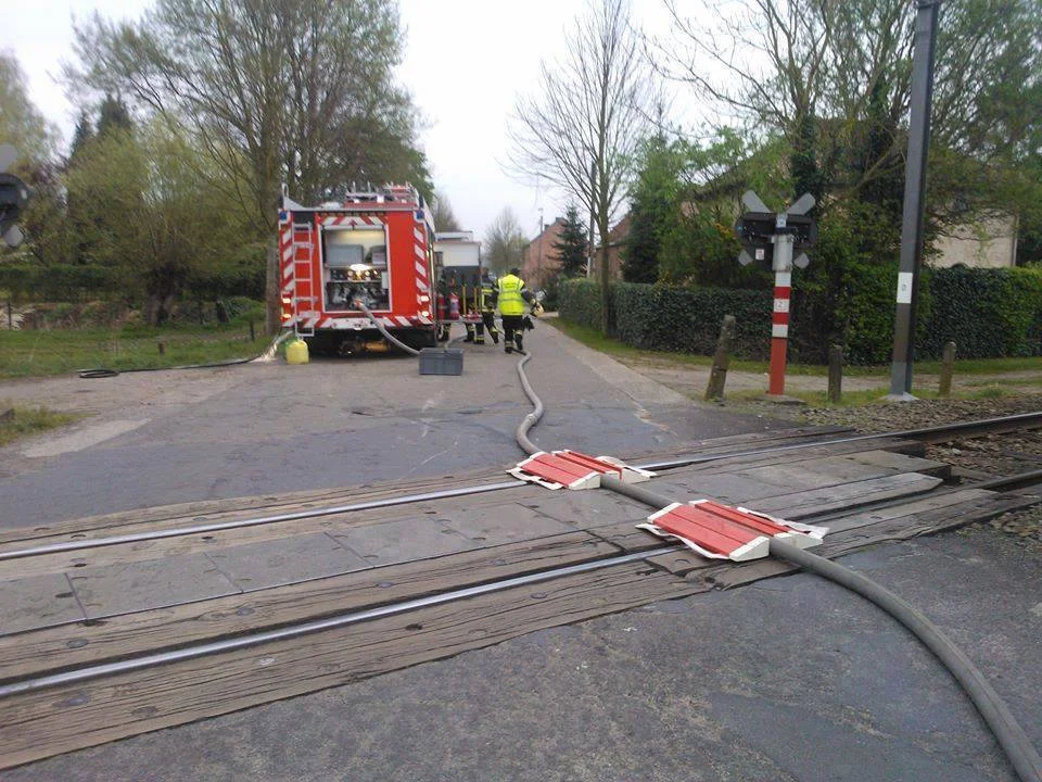 Irish fire crew.webp