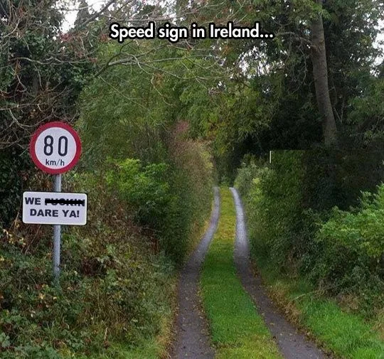 irishspeed2.webp