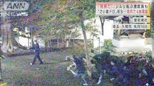 iruma-shrine-theft.webp