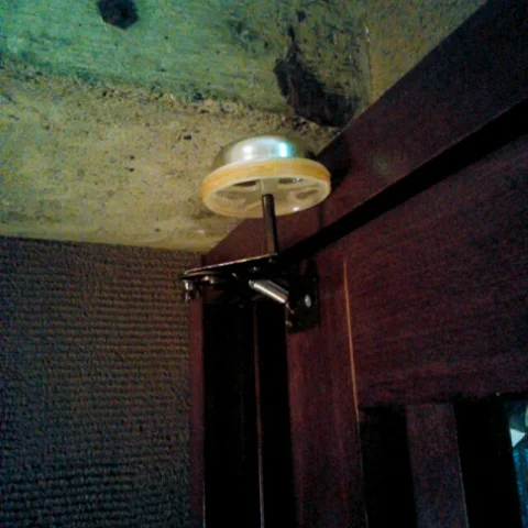 isamibell7.webp