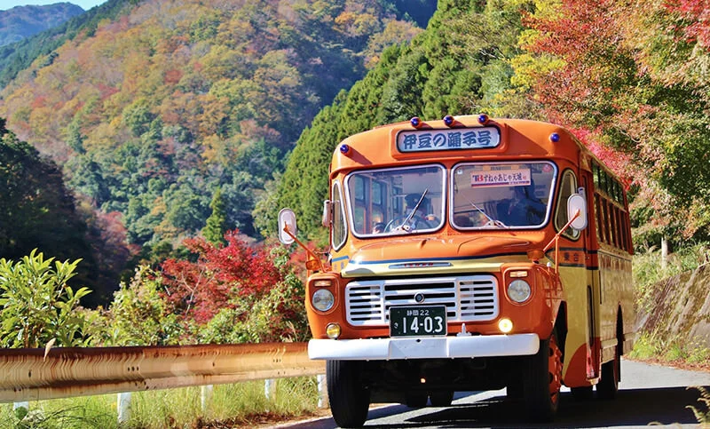 Izu bonnet bus