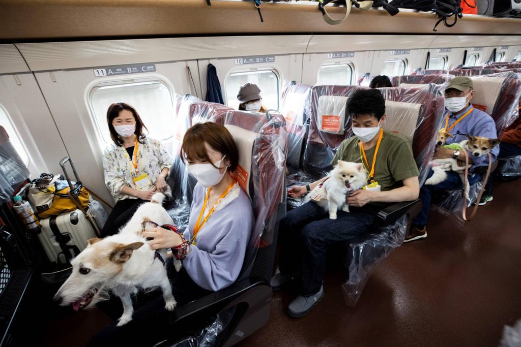 JR Central tests pet-friendly Shinkansen