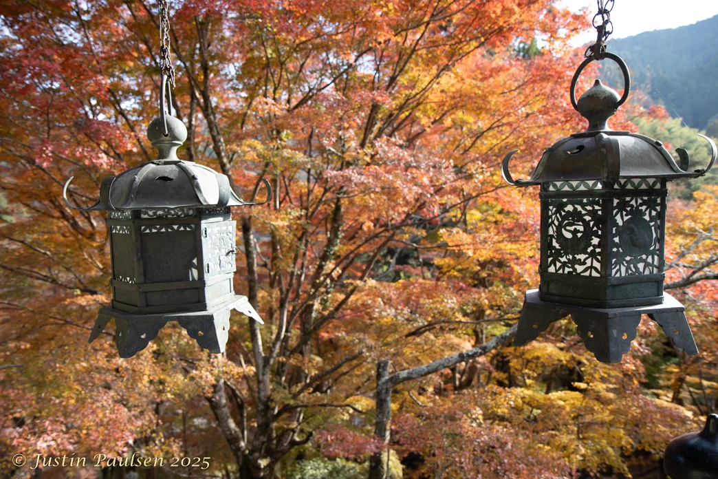 Japan_Nov_2025-0001.webp