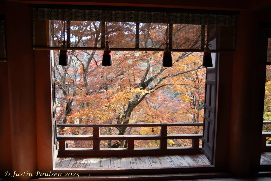 Japan_Nov_2025-0006.webp