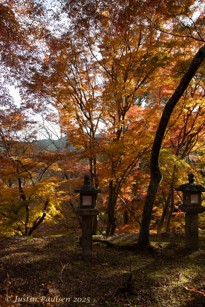 Japan_Nov_2025-0014.webp