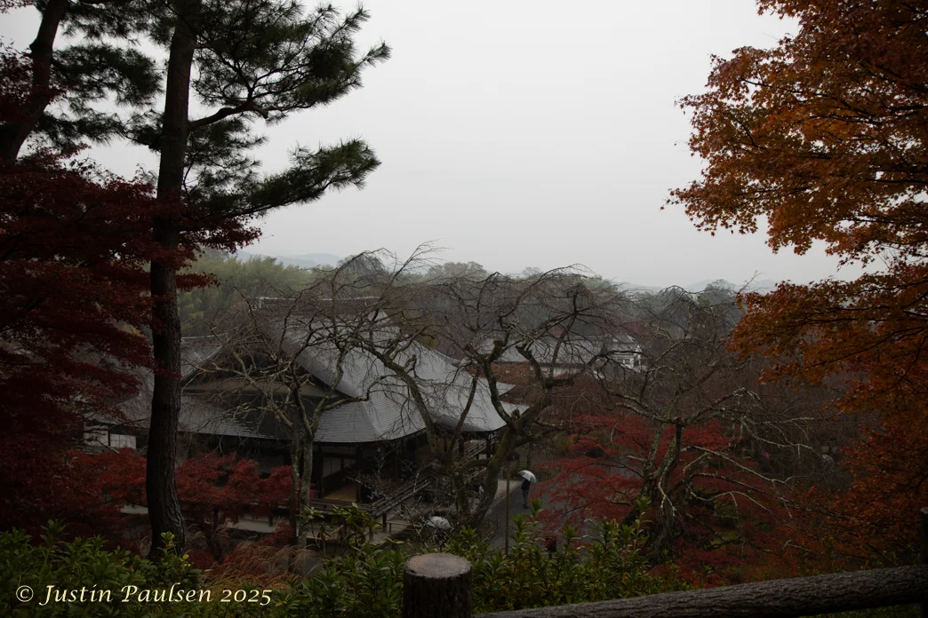 Japan_Nov_2025-0047.webp
