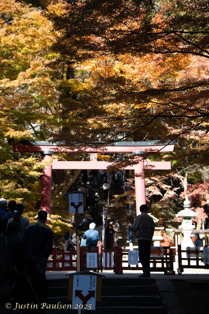Japan_Nov_2025-9939.webp