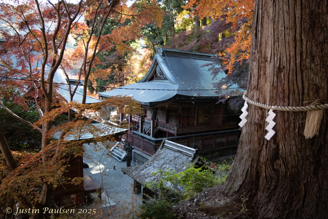 Japan_Nov_2025-9962.webp