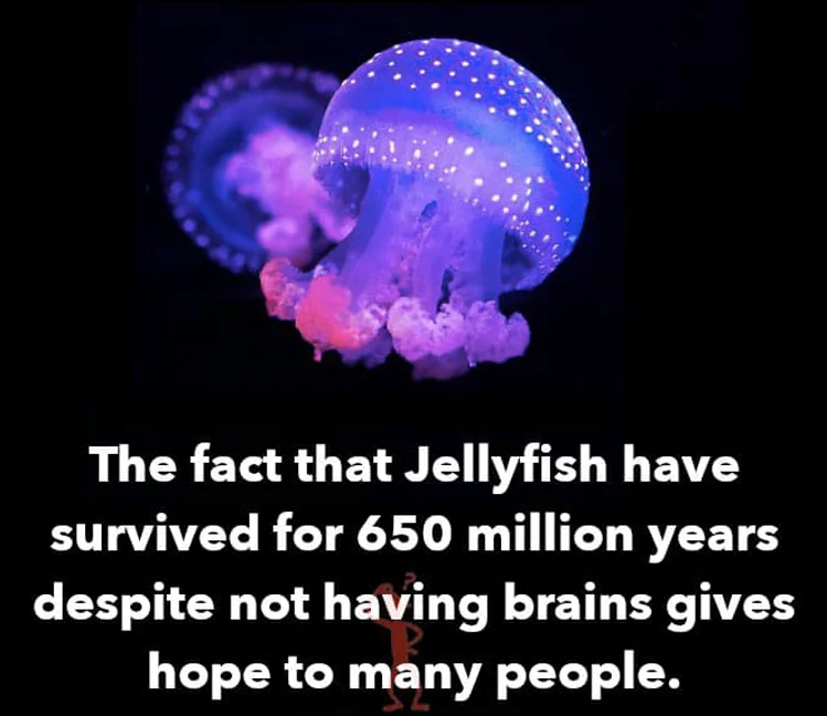 28234