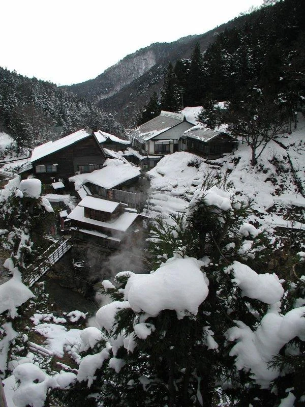 jigokudani13_600-1.webp