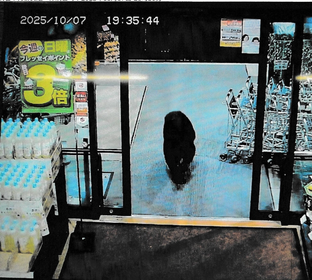 Bear injures two in Japan supermarket; man killed in separate attack