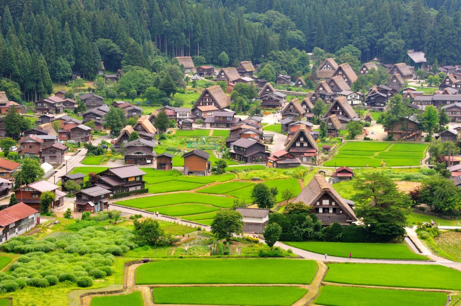 Shirakawa-go in Gifu Prefecture