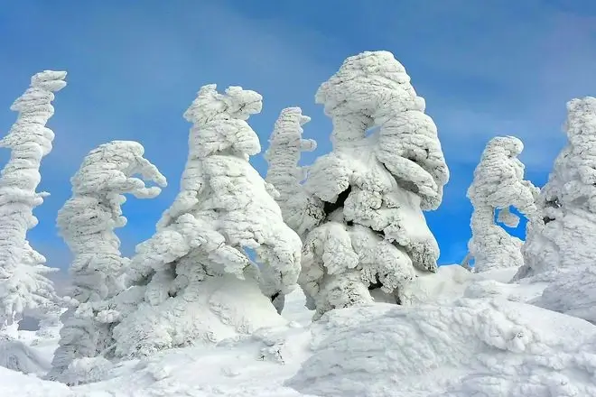 The Snow Monsters (樹氷 juhyō) of Mount Zao