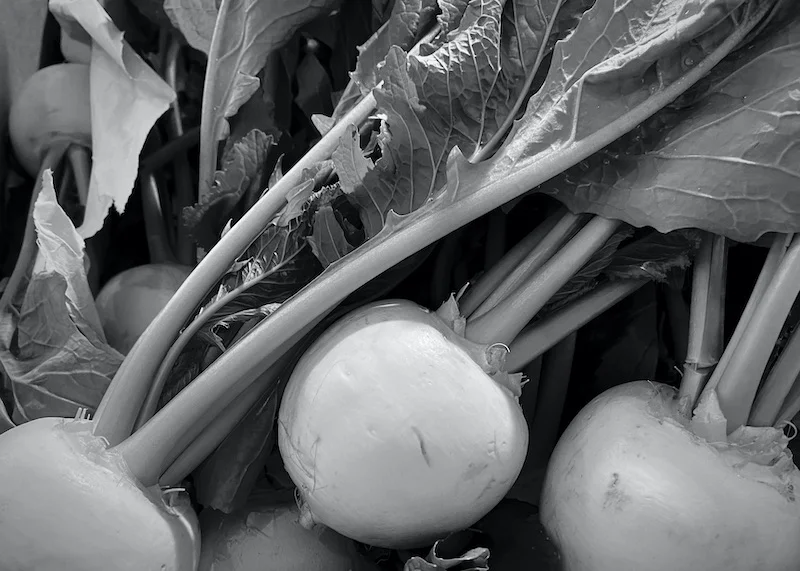 kabu B&W.webp