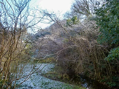 Tamba Kameyama Castle