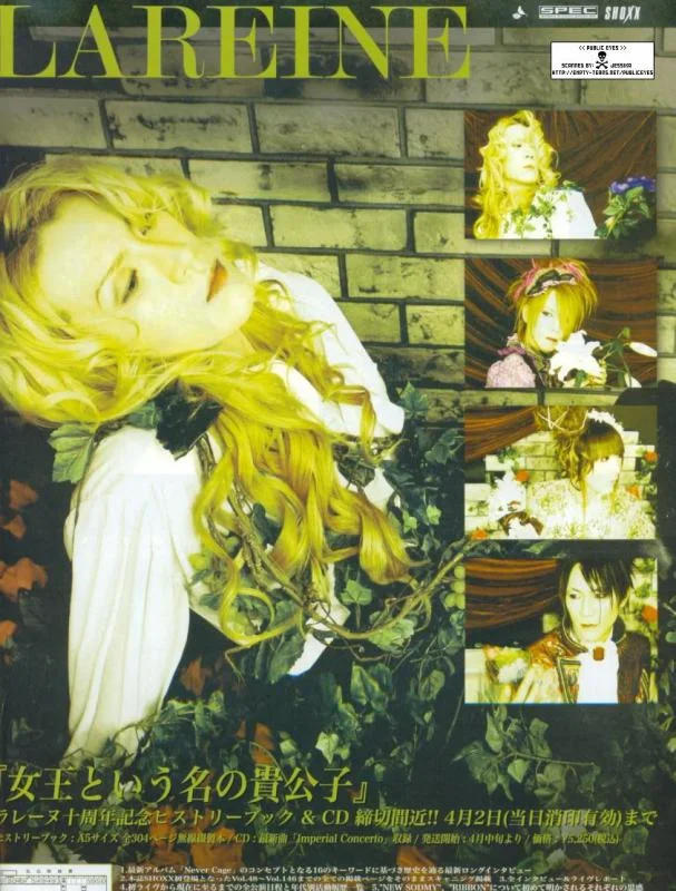 Kamijo233-1.webp