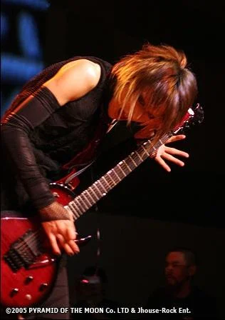 karyulive-1.webp