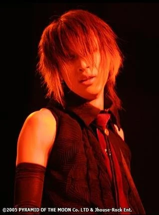 karyulive2-1.webp
