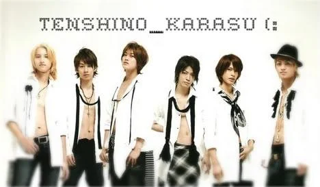 KATTUN51-1.webp