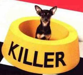 killerfunnydog-1.webp
