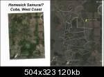 kingcubafull222fffsw0thgif-1.webp
