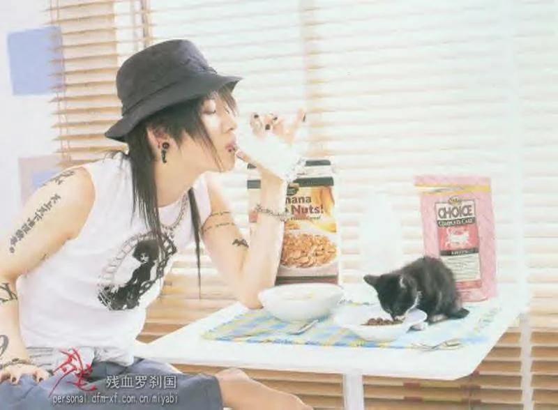 kittie4-1.webp