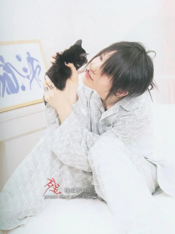 kitty-1.webp