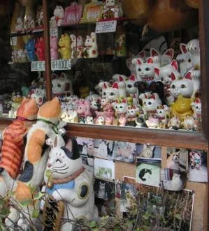 kiyomizucatshop-1.webp