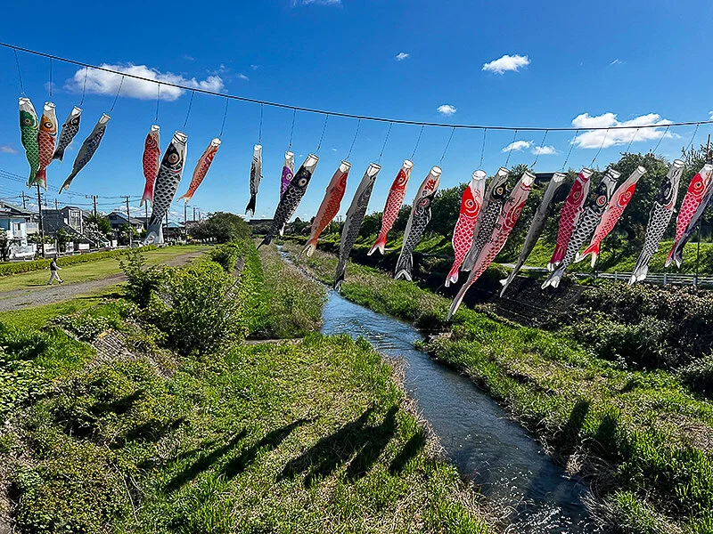 koinobori02.jpg
