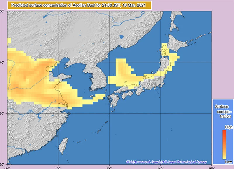 kosa-16032021.webp